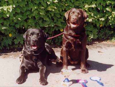 Stormley Furgus and Stormley Anaka