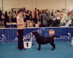 European Winner Show 2006, Helsiniki, Finland