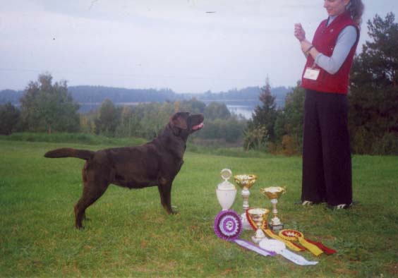 Lithuanian Retriever club show, Jovariskes