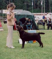 Parnu, CACIB show, Estonia