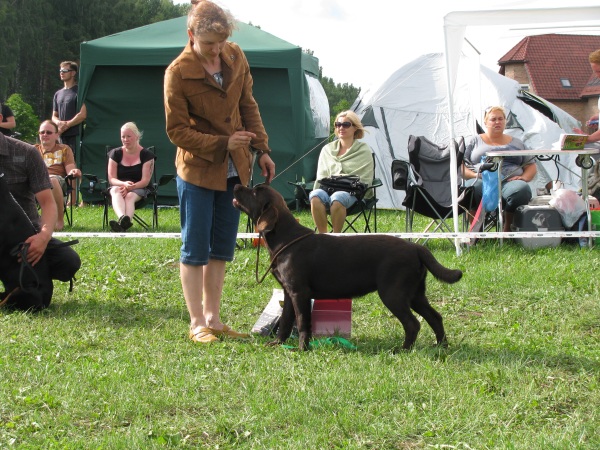 National show, CAC, Club Trophy, Marupe, Latvija 23.07.2011