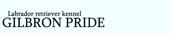 Gilbron Pride logo